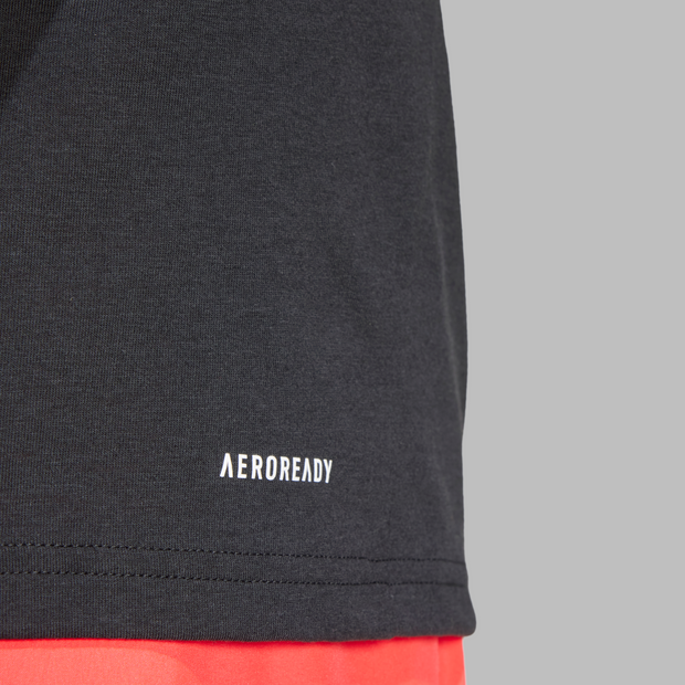 TR-ES FR LOGO T